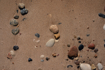 Fototapeta na wymiar wet beach on the shores of the Baltic Sea have pebbles of different colors