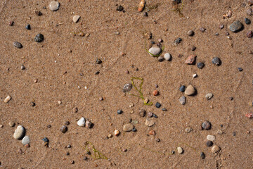 wet beach on the shores of the Baltic Sea have pebbles of different colors