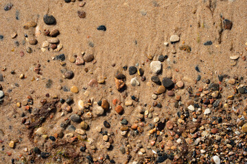 wet beach on the shores of the Baltic Sea have pebbles of different colors