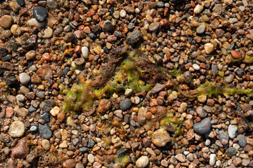 on the shores of the Baltic Sea there are stones of different colors, which form a beautiful pattern with each other