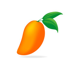 Mango fruit vector isolated on white