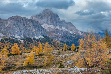 Fototapeta na wymiar Beautiful autumn view Tofana di Rozes mountain with yellow larch trees on foreground. Dolomite Alps near Falzarego Pass.