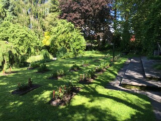 Landscape of the Botanical Garden St. Gallen or Landschaft des Botanisches Garten St. Gallen, Schweiz (The Botanical Garden in Saint Gall, Switzerland)