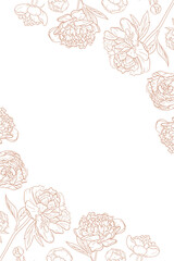 Vector frame with hand drawn peonies. floral sketch