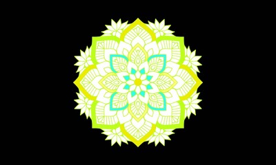 flower isolated on white