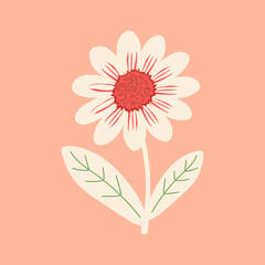 Wild chamomile. Summer card with a flower on a pink background. Print on decorative pillows, interior design. Vector graphics.