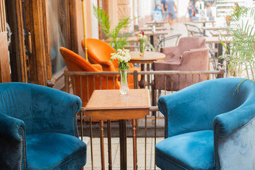 cozy cafe place with plants and chairs