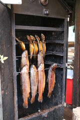 Fish in the smoker