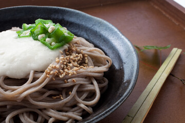 　冷やし山芋そば