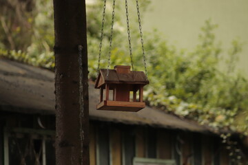 mały  karmnik  dla  ptaków  zawieszony  na  drzewie  w  ogrodzie