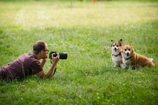 Young man making a photo of welsh corgi pembroke dogs with a professional dslr camera