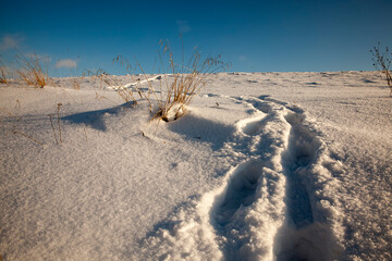 the winter season in nature