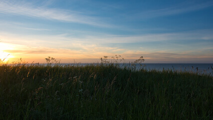 A meadow with wild grass in the golden reflections of the sea sunset under the blue sky of a white night with a cloudy haze that turns into clouds on the horizon.