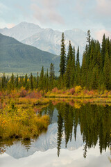 Low Bush Colours: a mountain lake in the fall. 