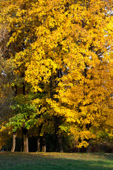 influence and impact of the autumn season on nature