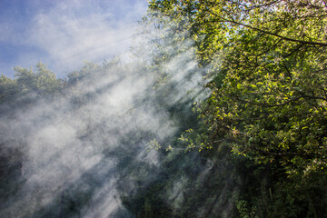 Plakat Rays of sunlight through bonfire smoke near green foliage. Blue sky on the remote background.