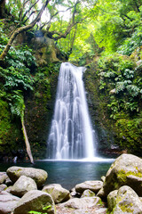 Fototapeta premium Beautiful secret wild waterfall in a green jungle environment in Azores islands.