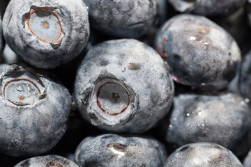 fresh blueberries can be eaten raw