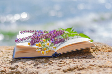 a bouquet of wildflowers on the pages of an open book against the background of the sea. summer...