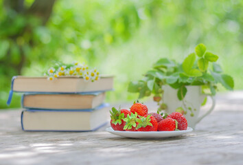 red strawberries and a stack of books on the table in the garden. summer vacation concept. organic food concept.
