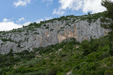 Tall beautiful climbing rocks in a dense forest