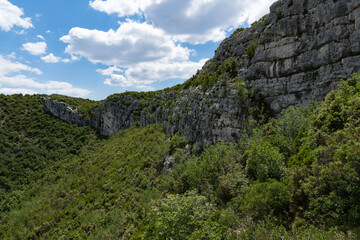Fototapeta na wymiar Tall beautiful climbing rocks in a dense forest