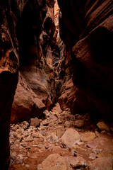 Rocky Bottom Of Buckskin Gulch