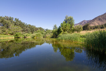 Fototapeta na wymiar Trees and mountains reflected in a pond in Oak Glen Preserve