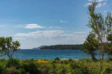 View of the Adriatic Sea through colorful trees and bushes