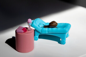 A snail in the sun on a chaise longue.A blue chaise longue and a pink cocktail table.Summer...
