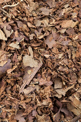 tobacco from a crumbling cigarette