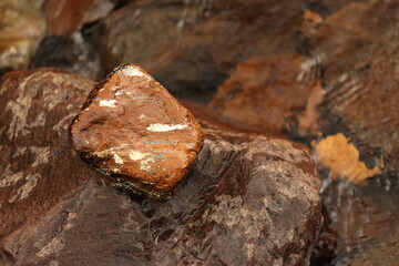 rock stone river well-being awareness newsletter