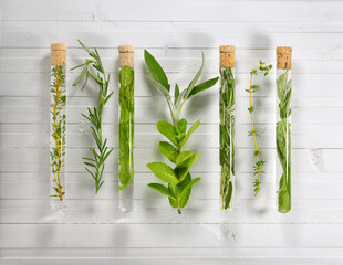 Herbs in test tubes on a white wooden background. Spices in alternative medicine.