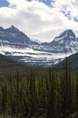 Beautiful Mountain Scenery of Jasper National Park