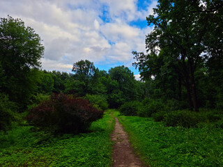 path in the park