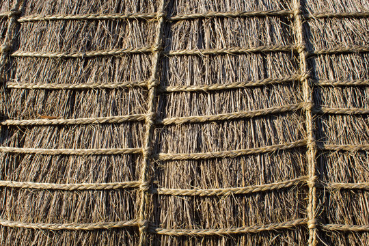 straw roof texture