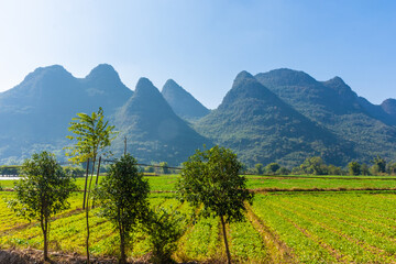 Obraz premium The countryside of Yangshuo, in the Yulong River Valley, Guilin, Guangxi, China