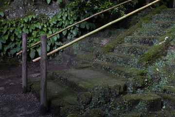 暗い苔むした石の階段と竹の手摺