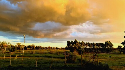 sunset over the field
