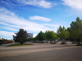 Fototapeta premium Walking boulevard in Madrid sunny morning