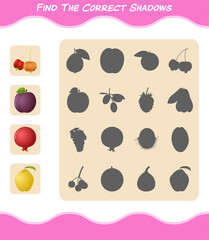 Find the correct shadows of cartoon fruits. Searching and Matching game. Educational game for pre shool years kids and toddlers