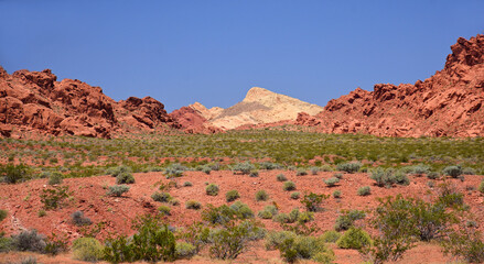 the arid and eroded red rock landscape of valley of  fire state park  near overton, nevada