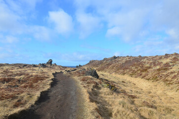Fototapeta na wymiar Hiking Trail Through Grasslands in Rural Iceland