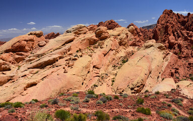 Fototapeta premium the colorful, eroded sandstone and arid desert landscape of valley of fire state park, on the rainbow vista trail near overton, nevada