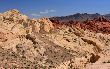 Fototapeta na wymiar the spectacular, eroded sandstone rock formations and desert landscape of valley of fire state park, near overton, nevada