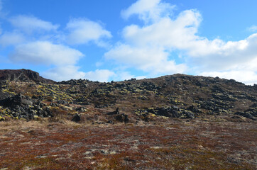 Fototapeta na wymiar Moss Growing on Old Lava Rock in Iceland
