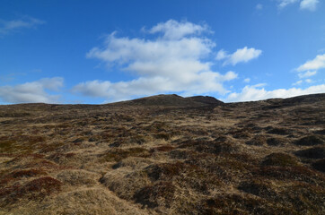 Beautiful Grasslands and Rolling Hills in Rural Iceland