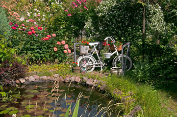 Fototapeta na wymiar Beautiful garden with a pond with water lilies, with different roses..and ornamental plants and an old bicycle with flowers