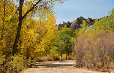 hiking  in autumn along  picturesque cottonwood wash in the picturesque hackberry canyon off the...