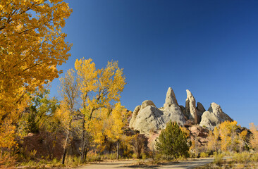 beautiful fall cottonwood colors and striking rock formations along the unpaved cottonwood canyon road in grand staircase escalante in southwestern utah, near kanab 